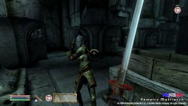 The-Elder-Scrolls-IV--Oblivion-2.jpg
