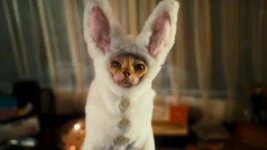 Cats and dogs 2 movie.jpg