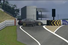 Deep Forest Raceway_3_Orion_blockiert_Pit.jpg