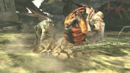 Soul Sacrifice (3).jpg