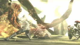 Soul Sacrifice (11).jpg