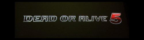 doa5-500x142.jpg