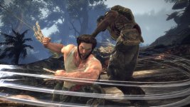 Wolverine 6.jpg