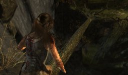 TombRaider_Besipiel3_TressFX.jpg