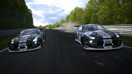 Nürburgring Nordschleife_6.jpg