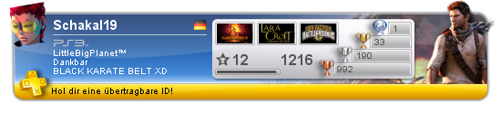 BILD PSN.png