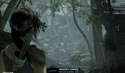 TombRaider_Screen4_TressFX.jpg TombRaider_Screen4_TressFX.jpg
