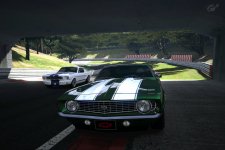 Deep Forest Raceway_5.jpg