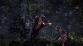 The Witcher 3_Wild Hunt (9).jpg