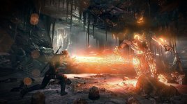 The Witcher 3_Wild Hunt (14).jpg