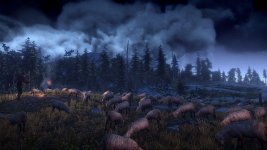 The Witcher 3_Wild Hunt (15).jpg