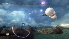 FF1.jpg