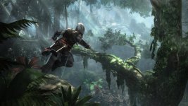 Assassins Creed Black Flag (3).jpg