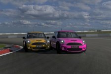 Nürburgring8_Pink_wird_anschliessend_deben_der_Spur_sein.jpg