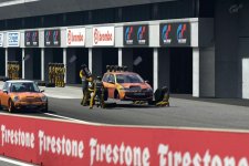 Deep Forest Raceway7_Fastback_und_Shake_in_the_Box.jpg