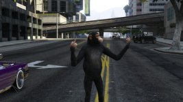 Affe1.jpg