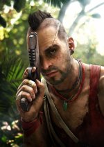 Far Cry 3 (10).jpg