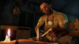 Far Cry 3 (9).jpg