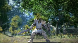 Paladin02.jpg