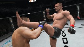 mirko_cro_cop_tga.jpg