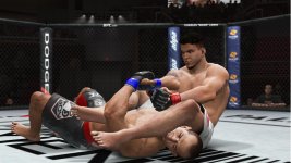 frank_mir_tga.jpg
