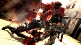 Ninja Gaiden 3 (2).jpg