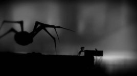 spider.jpg
