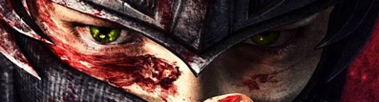 Ninja Gaiden 3.JPG