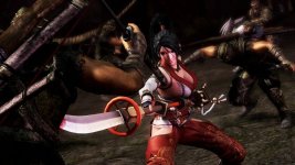 Ninja Gaiden 3 (3).jpg
