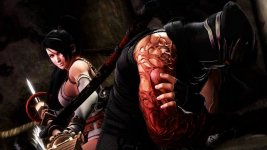 Ninja Gaiden 3 (4).jpg