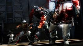 Ninja Gaiden 3 (3).jpg Ninja Gaiden 3 (3).jpg