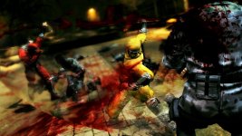 Ninja Gaiden 8.jpg Ninja Gaiden 8.jpg