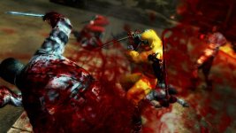 Ninja Gaiden 13.jpg Ninja Gaiden 13.jpg