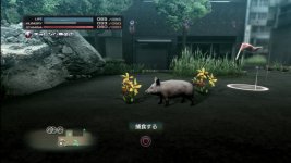 Tokyo Jungle (1).jpg Tokyo Jungle (1).jpg