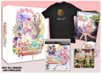 Atelier Meruru.jpg