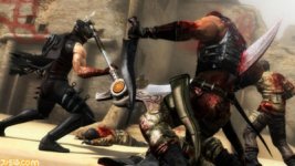 Ninja Gaiden 3 (2).jpg