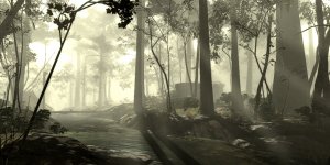 Forest.jpg Forest.jpg