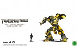 3_TF-RODS_SizeChart_Bumblebee_DE.jpg 3_TF-RODS_SizeChart_Bumblebee_DE.jpg