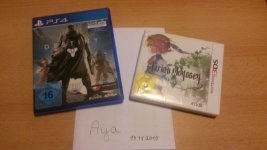 Destiny & Etrian Odyssey Untold The Millennium Girl.jpg