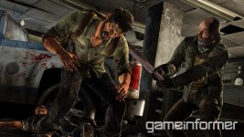 The Last of Us 1.jpg