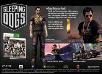 Sleeping Dogs (4).jpg Sleeping Dogs (4).jpg