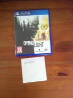 Dying Light.jpg