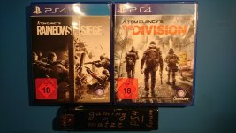 rainbow 6 siege-the division.jpg