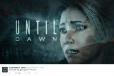 until Dawn.jpg