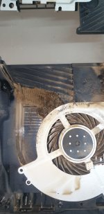 20201229_130617.jpg