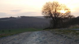 PS3_Feldweg_Baum.jpg