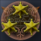 49_60x60.png