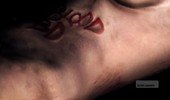 2937_thumb.jpg