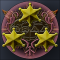 39_60x60.png