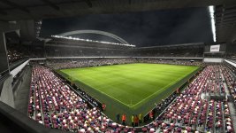 Pro Evo (10).jpg
